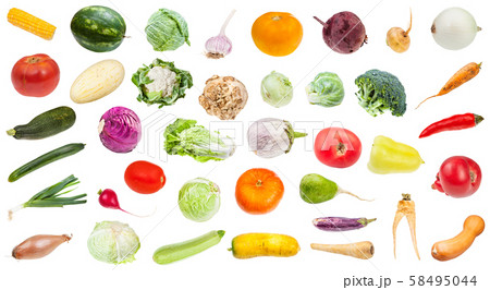 many various fresh ripe vegetables isolated 58495044