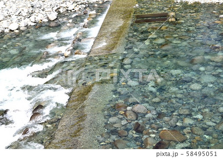 新潟県魚野川 澄んだ川 新潟県魚野川 澄んだ川 58495051