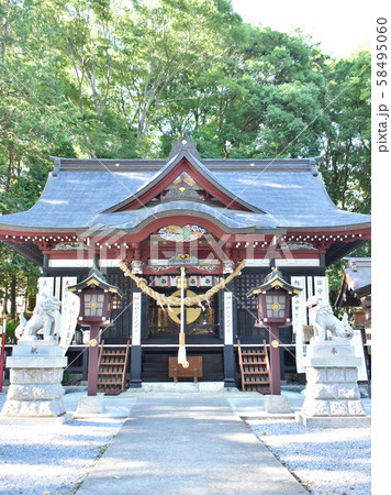 下野市 薬師寺八幡宮 下野市 薬師寺八幡宮 58495060
