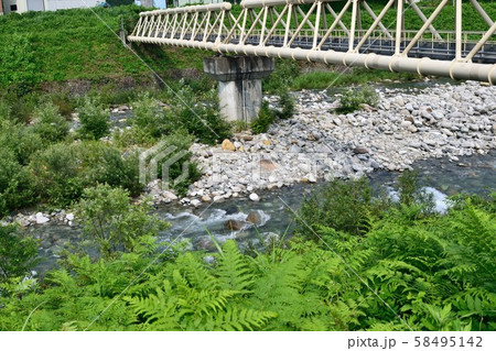 新潟県魚野川 清流 58495142