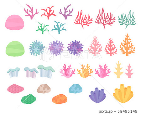 珊瑚イラスト 素材 セットのイラスト素材