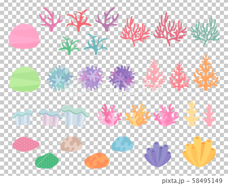 Coral illustration _ material _ set Coral illustration _ material _ set 58495149