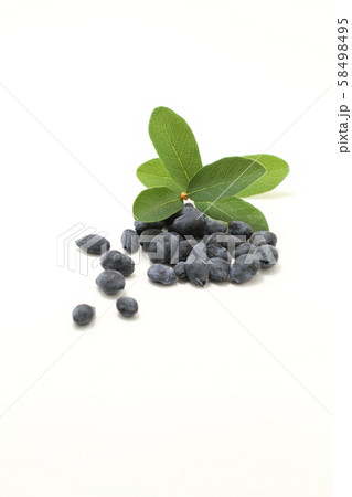 ハスカップ、木の実、ベリー 58498495