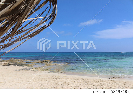 Beach and palm trees, sunny day Cyprus Beach and palm trees, sunny day Cyprus 58498502