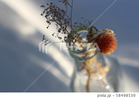 千日紅、カスミソウを瓶に挿している　物悲しいイメージ 58498530