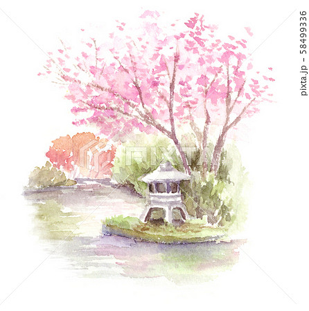 日本庭園 和風庭園 桜 水彩画のイラスト素材
