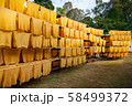 Export industries of Thailand Rubber Post ,Rubber production, Baking process timber with solar energy. 58499372