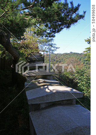 松 導電性 城 58499608