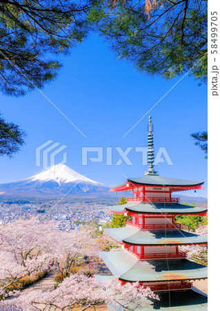 新倉山浅間公園の風景 （春） 58499705
