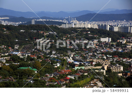 漢陽 導電性 仁王山 58499931