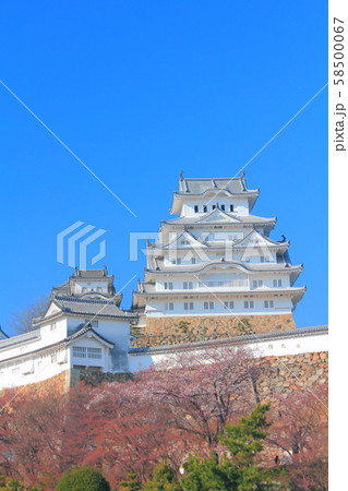 【兵庫県】 姫路城 「桜」 58500067