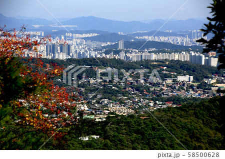 韓国 導電性 文化財 58500628