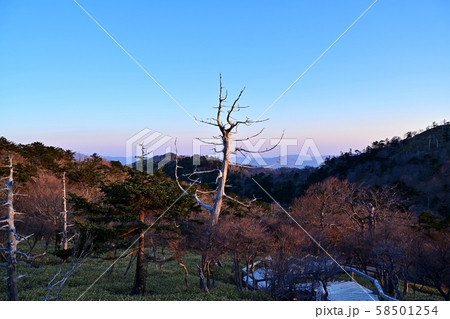 朝日に染まる大台ヶ原山の情景 朝日に染まる大台ヶ原山の情景 58501254