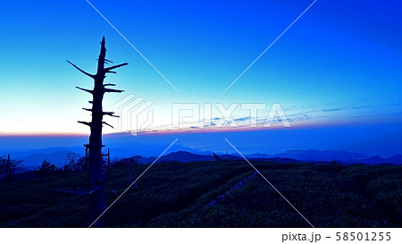 大台ケ原山 正木峠から見た夜明け前の情景 大台ケ原山 正木峠から見た夜明け前の情景 58501255