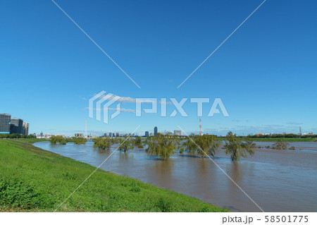 増水した荒川（足立区新田） 58501775