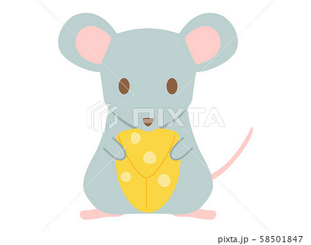 ねずみ4 58501847
