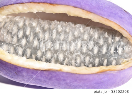 あけび（木通） 58502208