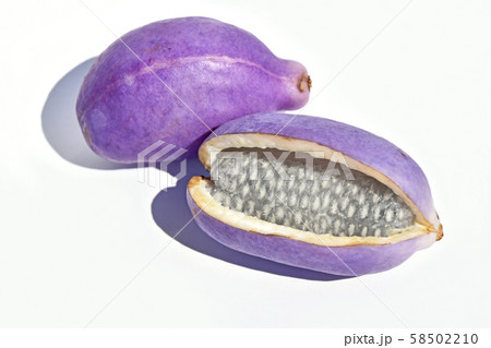 あけび(木通) あけび(木通) 58502210