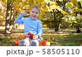 A child in the autumn Park plays and laughs merrily, he plays with yellow leaves and Rowan berries 58505110