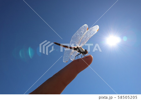 台風一過 58505205