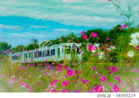 コスモス列車 コスモス列車 58505214