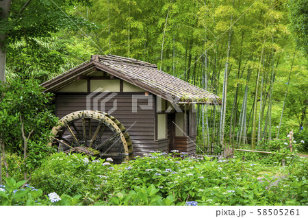 森と水車小屋 森と水車小屋 58505261