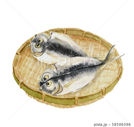 鰺の開き ザル  水彩 58506398