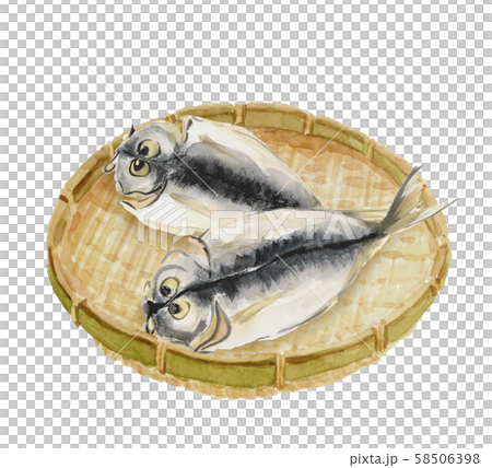 鰺の開き ザル  水彩 58506398