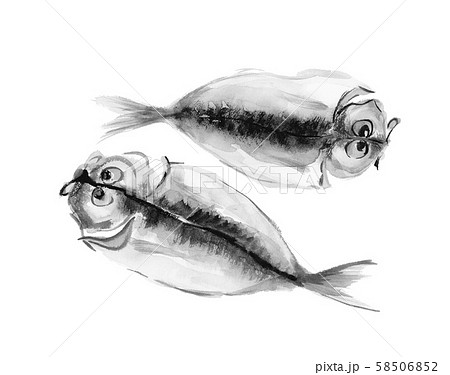 鰺の開き 水彩 モノトーン 58506852