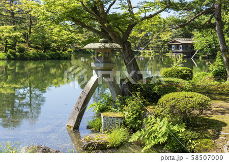 初夏の兼六園　徽軫灯籠 58507009