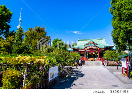 東京 亀戸天神社 社殿と藤棚とスカイツリー 58507498