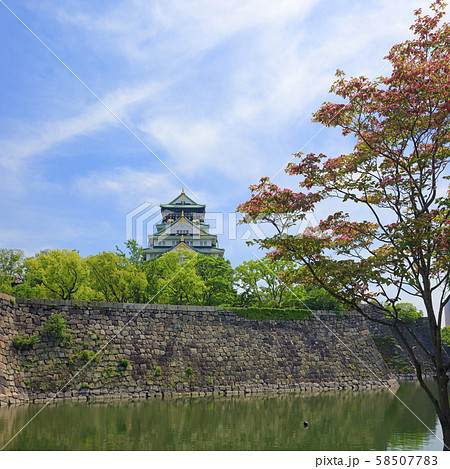 大阪城 北側 58507783