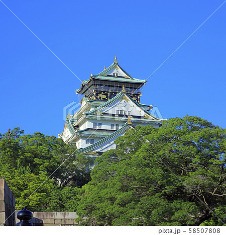大阪城 北側 58507808