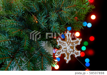 Twigs of blue on a background of Christmas bokeh Twigs of blue on a background of Christmas bokeh 58507898