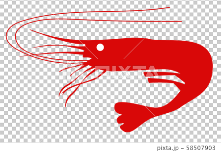 海老 アイコン ベクター 海老 アイコン ベクター 58507903