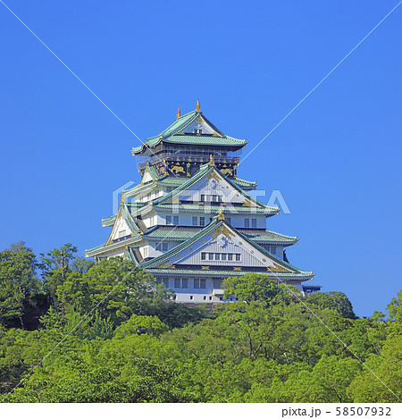 大阪城 北側（ 新鴫野橋から ） 58507932