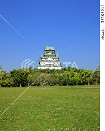 大阪城 西側（ 西の丸庭園から ） 58508014