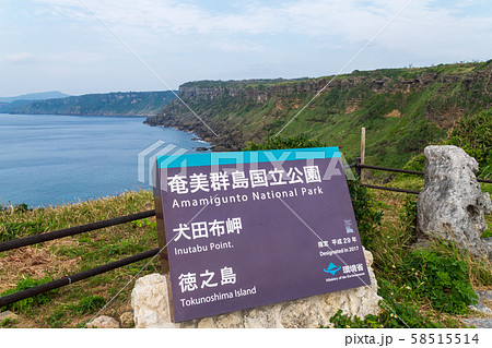 徳之島　犬田布岬 58515514