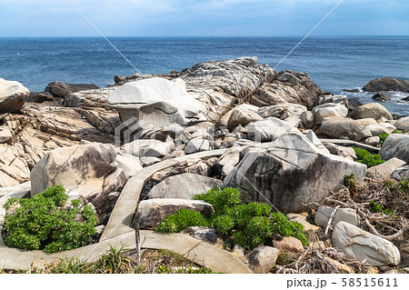 徳之島 ムシロ瀬 徳之島 ムシロ瀬 58515611