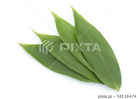 笹の葉、葉、料理、魚介類の下敷き 58516474
