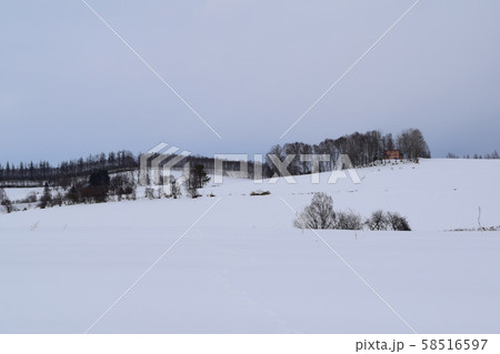 美瑛の雪景色 美瑛の雪景色 58516597