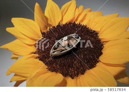 a mini figure is fishing on the sun flower 58517634