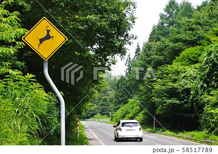 山道で見かける標識　動物注意　シカ 58517789