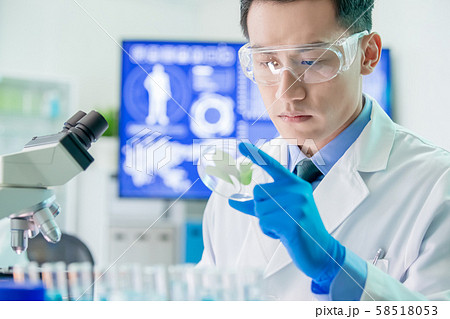 Asian scientist take petri dish Asian scientist take petri dish 58518053