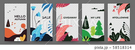 Social media flat plant posters. Abstract vibrant stories floral frames template. Vector 58518314