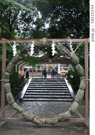 茅の輪くぐり 茅の輪くぐり 58520244