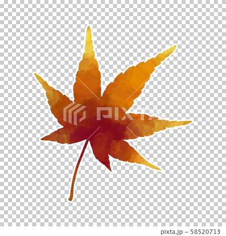 紅葉葉_3A 58520713