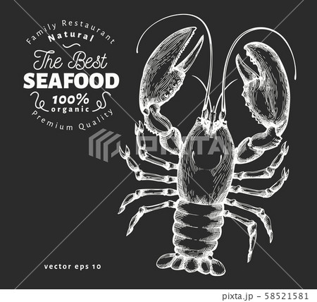 Lobster illustration. Hand drawn vector seafood Lobster illustration. Hand drawn vector seafood 58521581