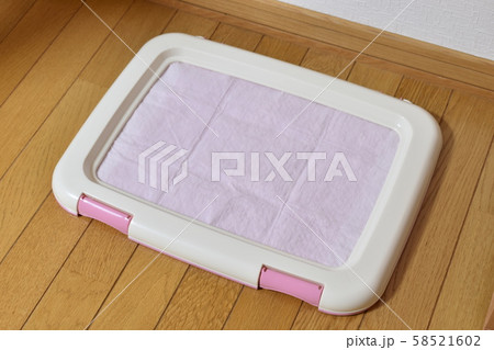 犬のトイレマット 58521602