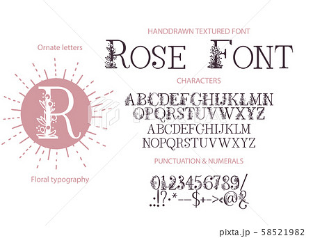 Hand drawn vector font. 58521982